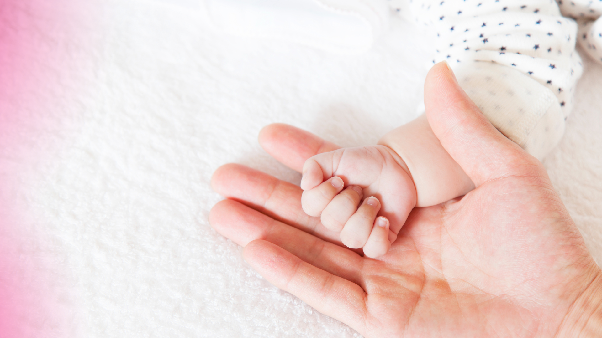Fetility Images Womb Care Fertility and Research Center